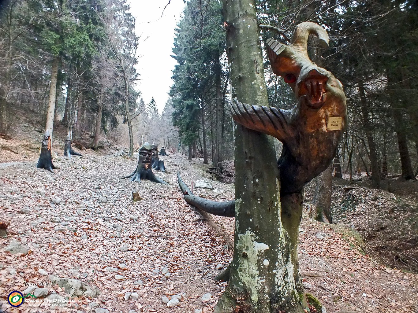 100 Arrivederci, Bosco degli Gnomi !...JPG